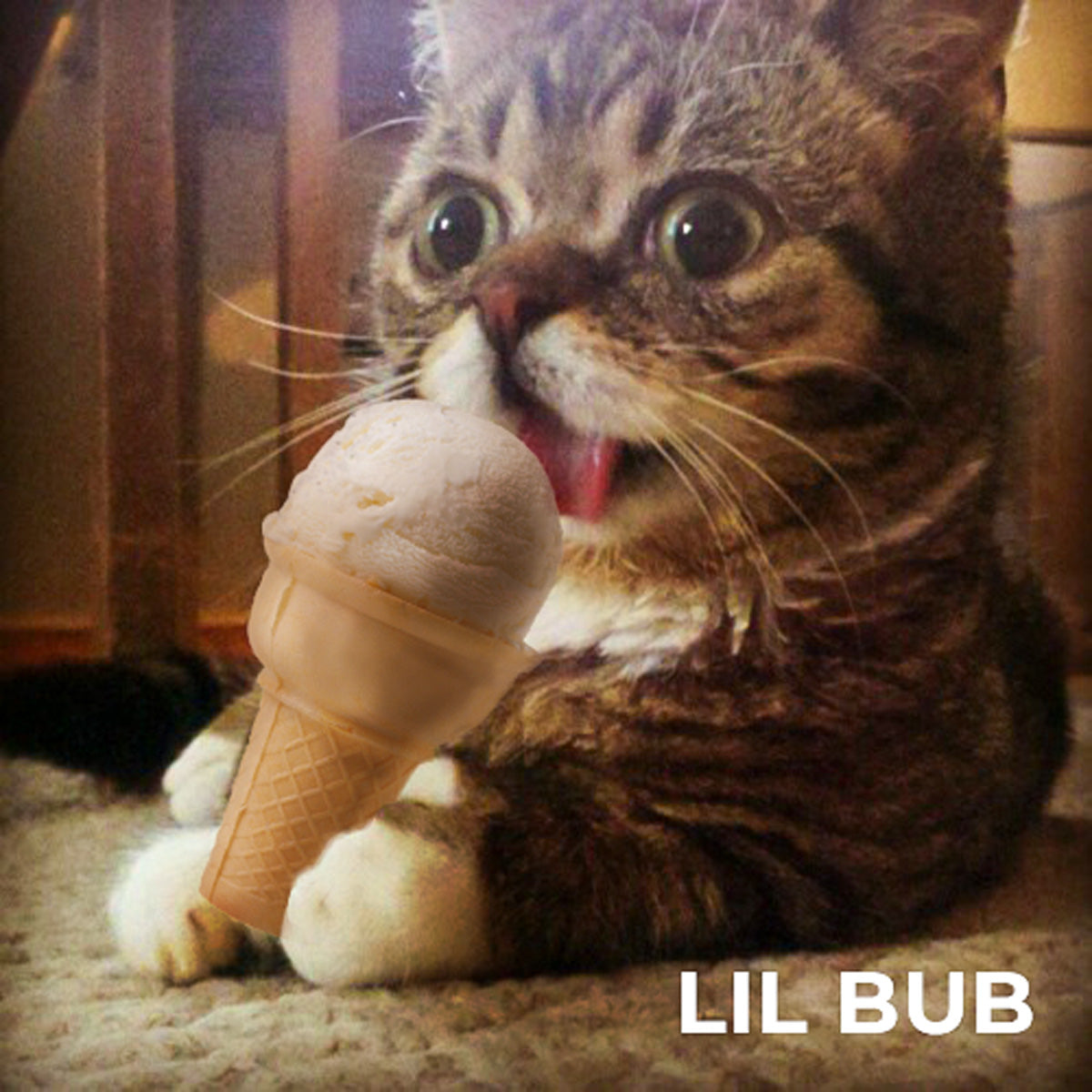 ICE CREAM BUBTTON