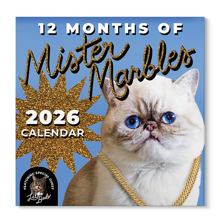 2026 Lil BUB + Mister Marbles Calendar Bundle Pre-Order
