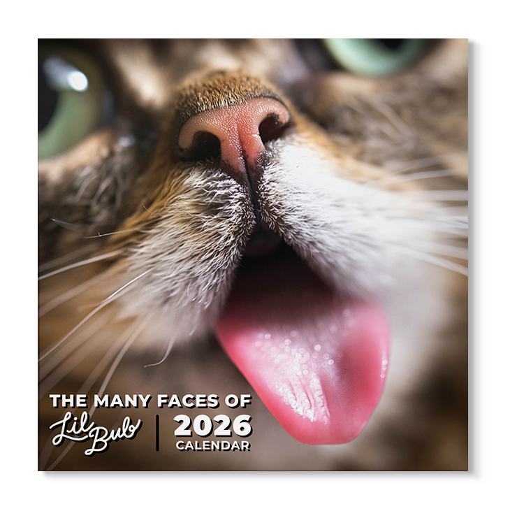 2026 Lil BUB + Mister Marbles Calendar Bundle Pre-Order