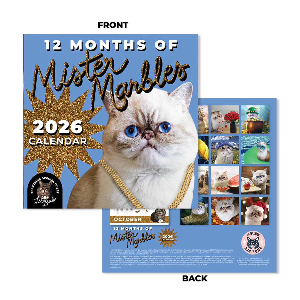 2026 Lil BUB + Mister Marbles Calendar Bundle Pre-Order