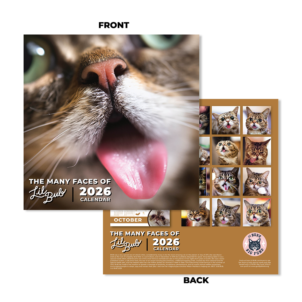 2026 Lil BUB + Mister Marbles Calendar Bundle Pre-Order