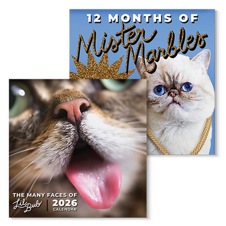 2026 Lil BUB + Mister Marbles Calendar Bundle Pre-Order
