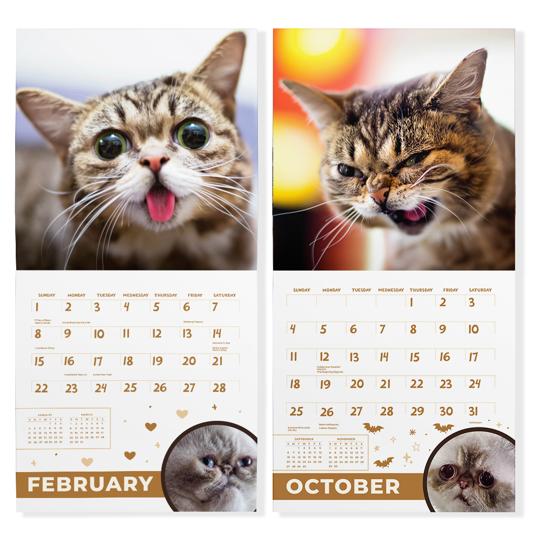 2026 Lil BUB + Mister Marbles Calendar Bundle Pre-Order