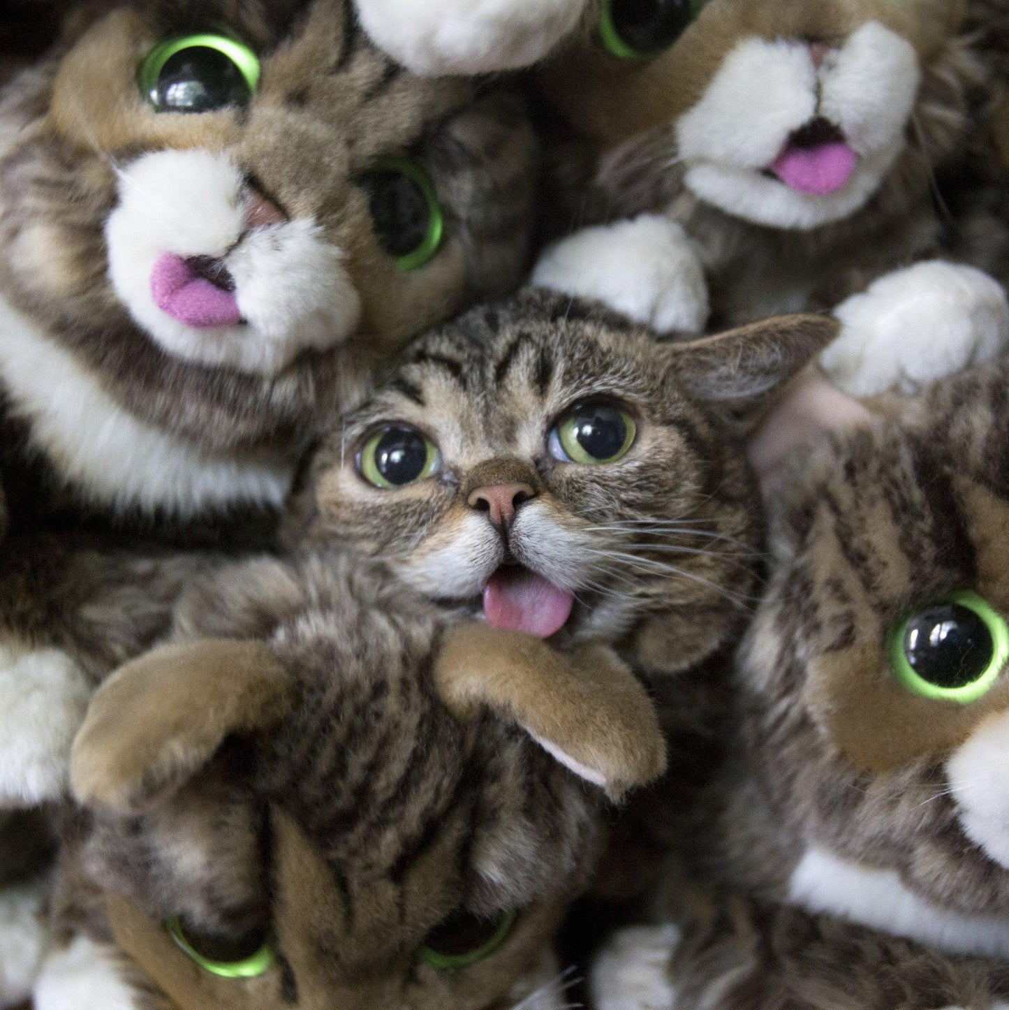 lil bub plush toy