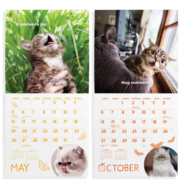 PRE-ORDER: Lil BUB's "Otherworldly Words of Wisdom" 2024 Calendar
