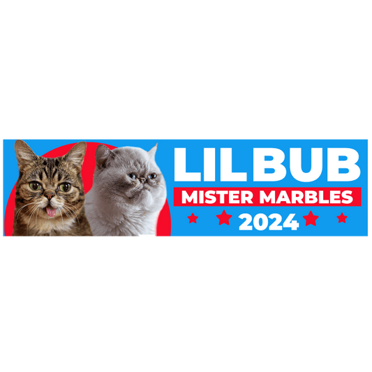 2024 BUB/MARBLES Election Bumper Sticker