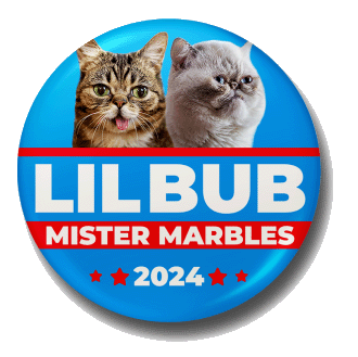 2024 BUB/MARBLES Election 3" Button