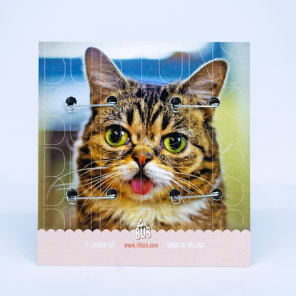 Lil BUB's 2012 BUBton Pack - Limited Edition Re-Issue!