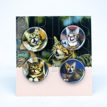 Lil BUB's 2012 BUBton Pack - Limited Edition Re-Issue!