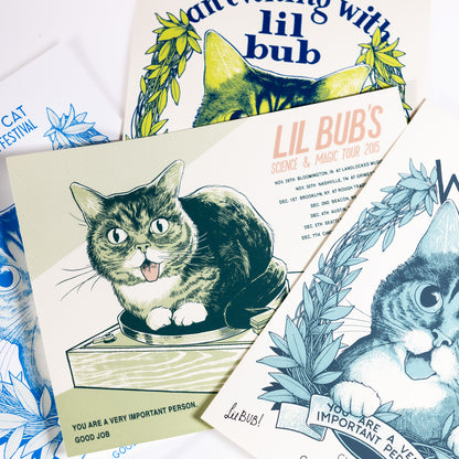 The Magical BUB Book Bundle - DELUXE