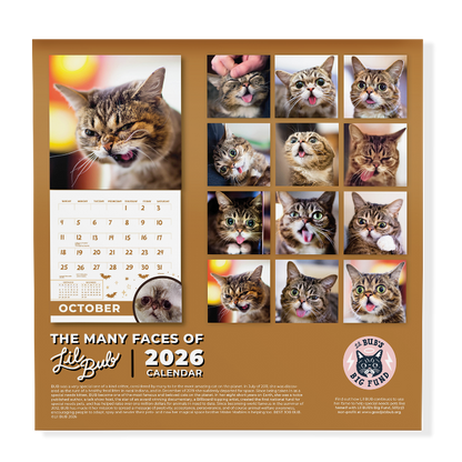 2026 Lil BUB + Mister Marbles Calendar Bundle Pre-Order
