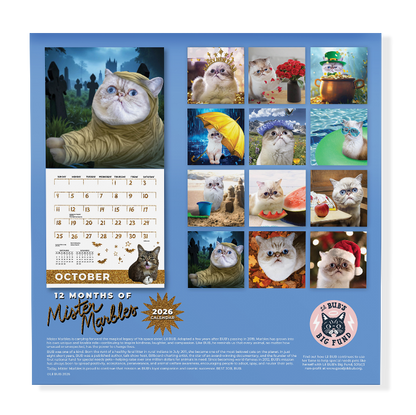 2026 Lil BUB + Mister Marbles Calendar Bundle Pre-Order