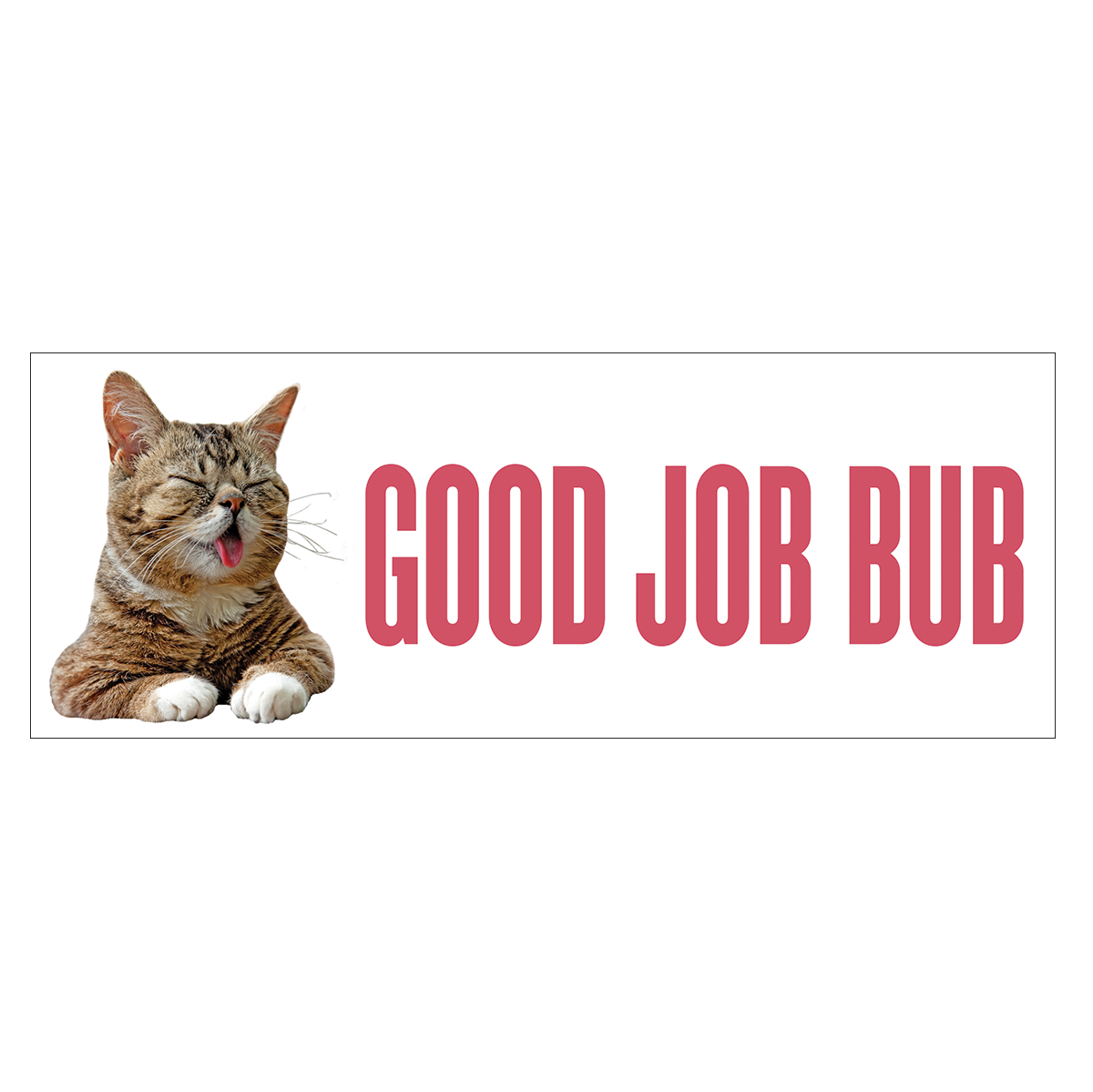 Welcome to the OFFICIAL BUB STORE! – Lil BUB