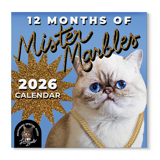 2026 "Twelve Months of Mr Marbles" Wall Calendar Pre-Order