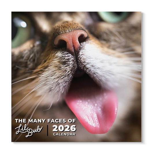 2026 "The Many Faces of Lil BUB" Wall Calendar Pre-Order