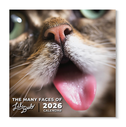2026 Lil BUB + Mister Marbles Calendar Bundle Pre-Order