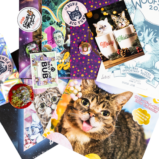 The Magical BUB Book Bundle - DELUXE