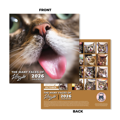 2026 "The Many Faces of Lil BUB" Wall Calendar Pre-Order
