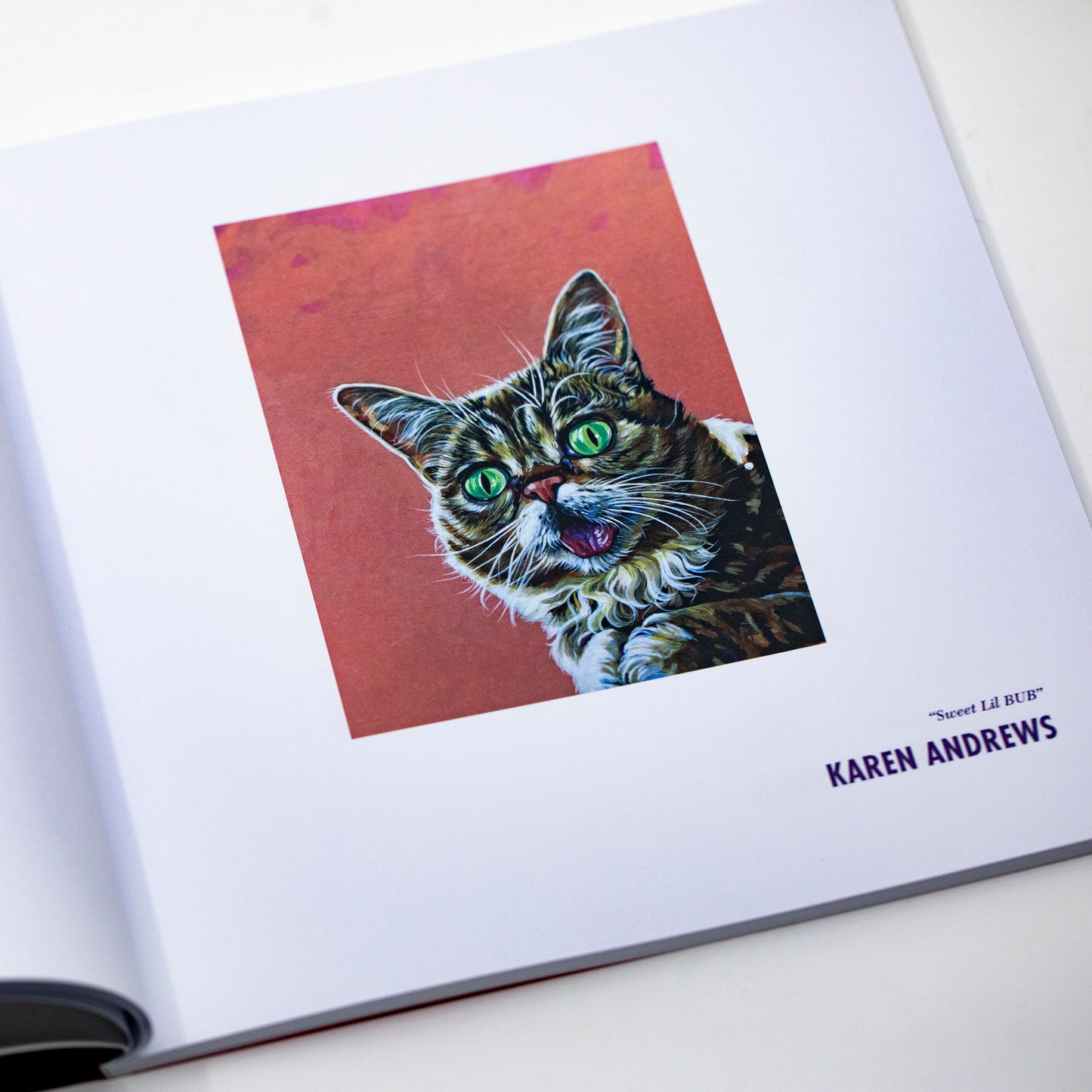 The Magical BUB Book Bundle - DELUXE