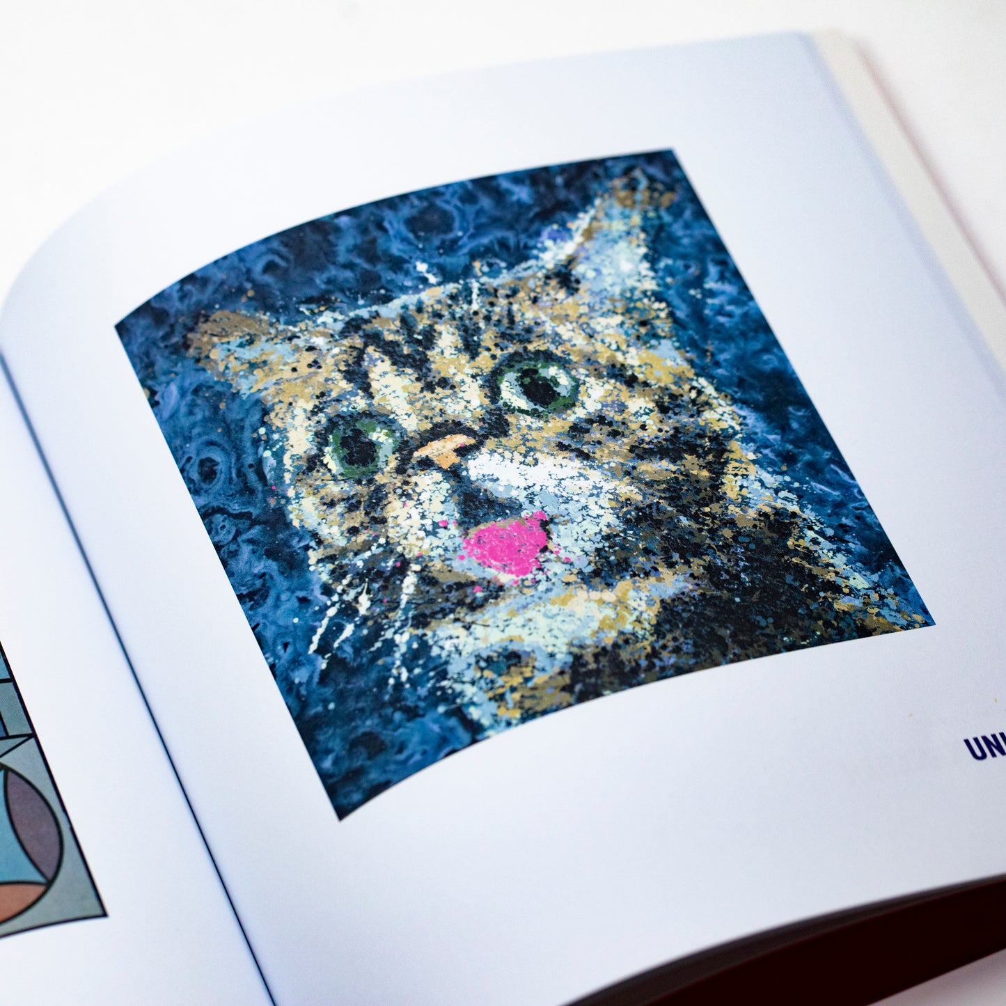 The Magical BUB Book Bundle - DELUXE
