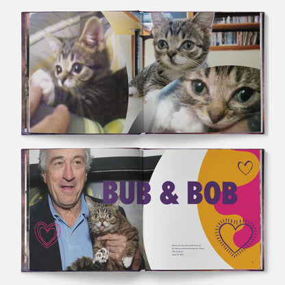The Magical BUB Book Bundle - DELUXE