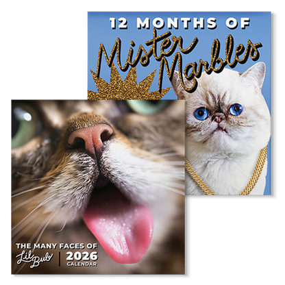 The Calendar Gift Bundle