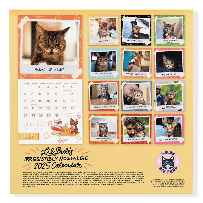 Lil BUB's "Irresistibly Nostalgic" 2025 Wall Calendar