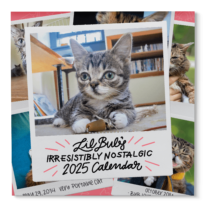 Lil BUB's "Irresistibly Nostalgic" 2025 Wall Calendar