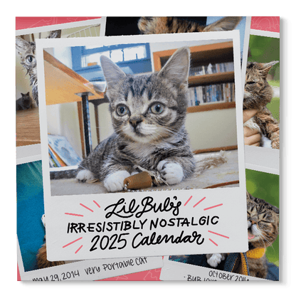 Lil BUB's "Irresistibly Nostalgic" 2025 Wall Calendar