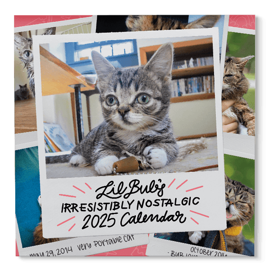 Lil BUB's "Irresistibly Nostalgic" 2025 Wall Calendar