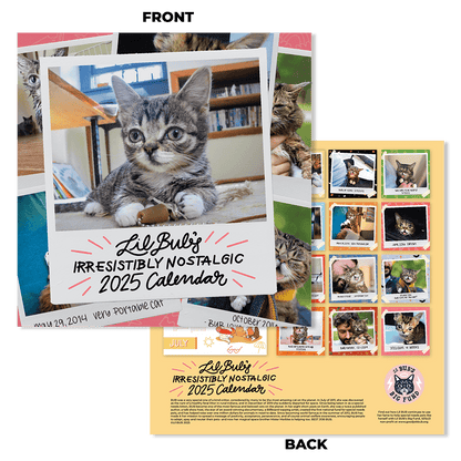 Lil BUB's "Irresistibly Nostalgic" 2025 Wall Calendar