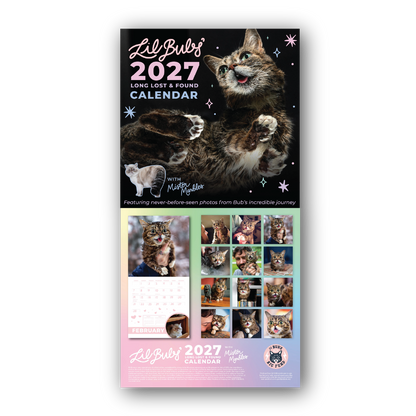 2027 Lil BUB Calendar - Preorder