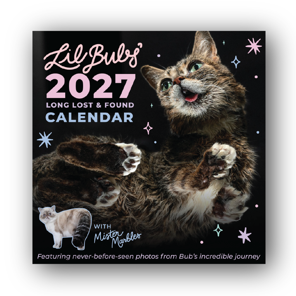 2027 Lil BUB Calendar - Preorder