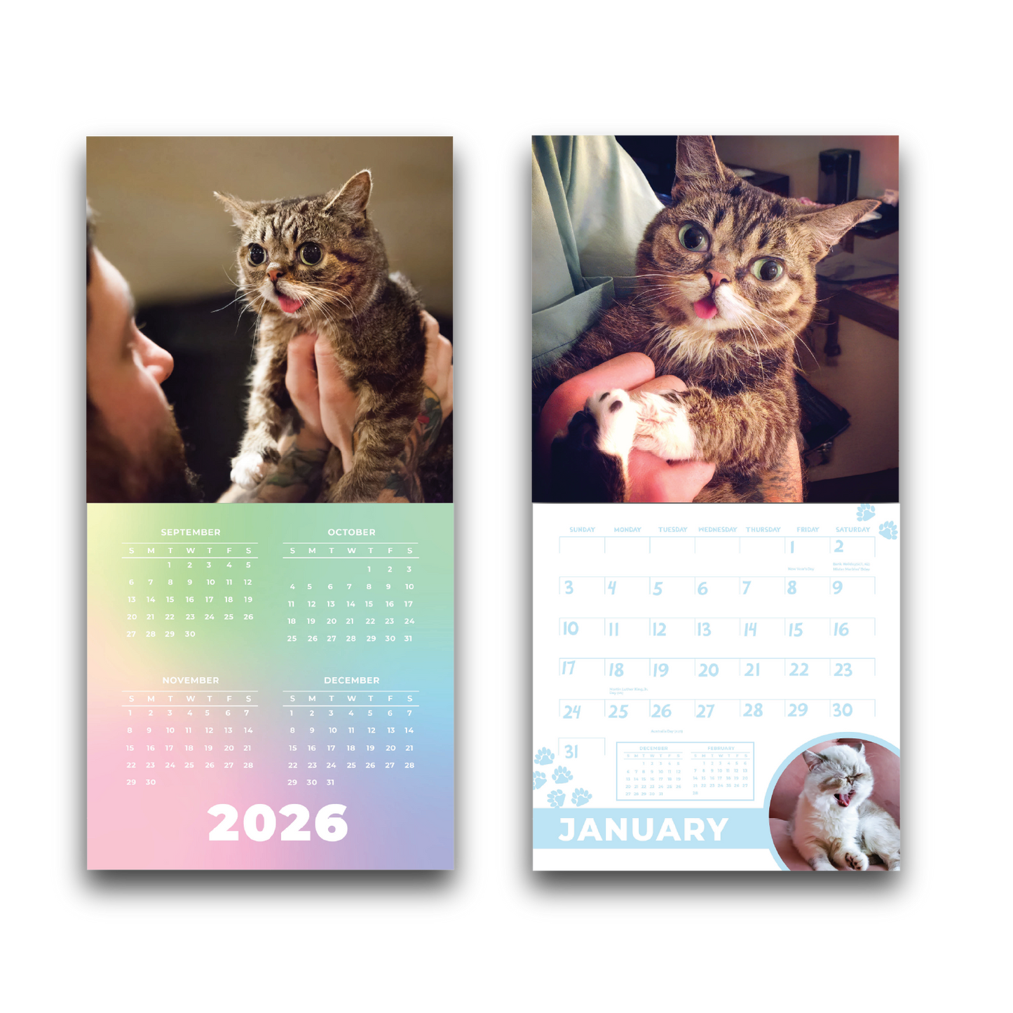 2027 Lil BUB Calendar - Preorder