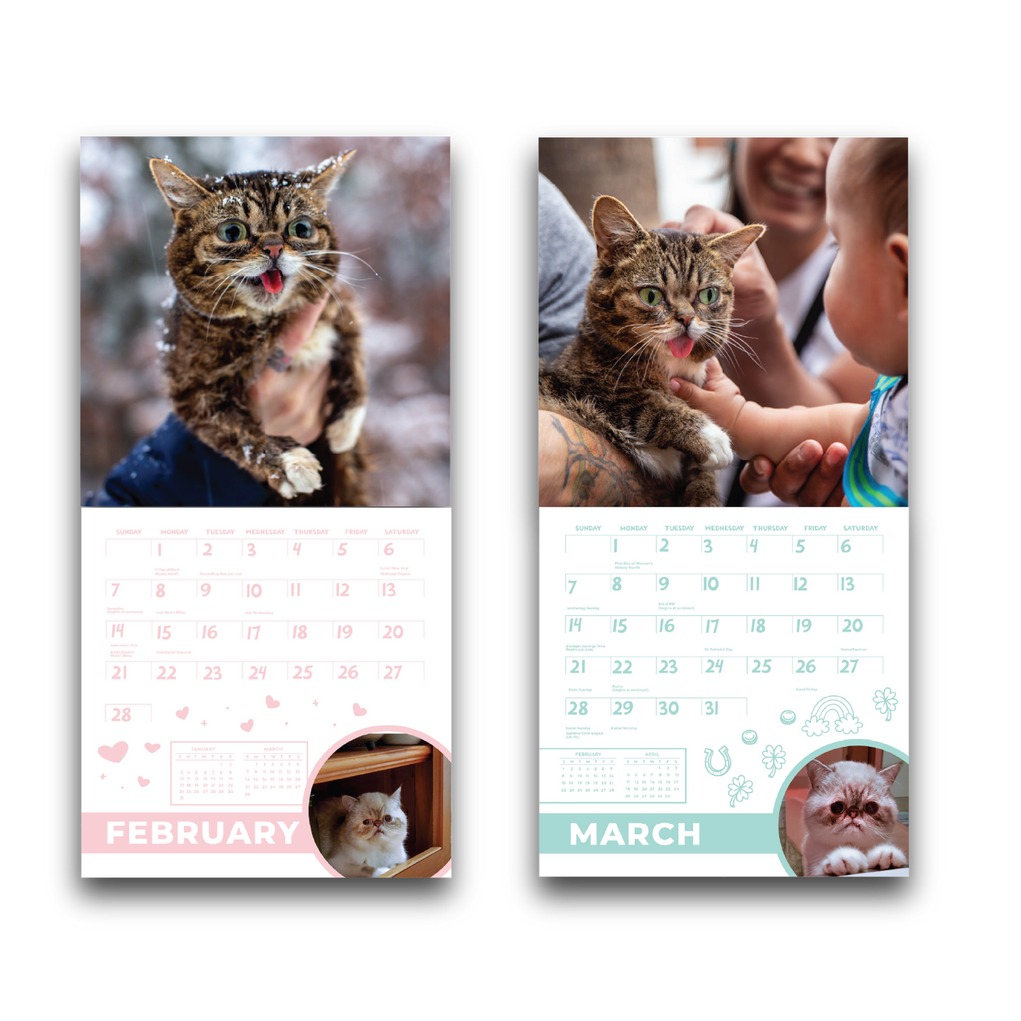 2027 Lil BUB Calendar - Preorder