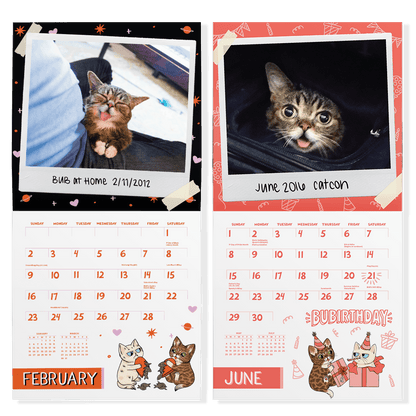 Lil BUB's "Irresistibly Nostalgic" 2025 Wall Calendar