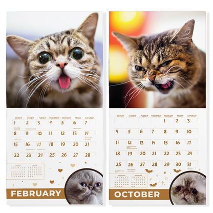 2026 Lil BUB + Mister Marbles Calendar Bundle Pre-Order