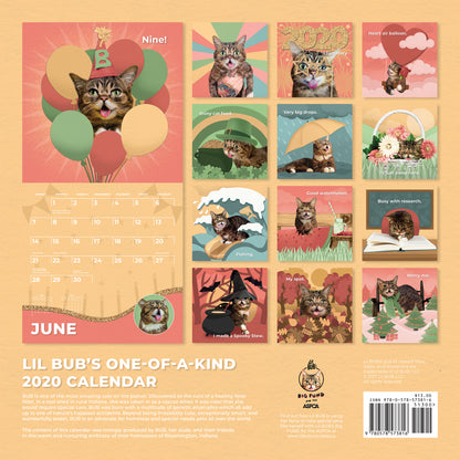 2020 BUB Wall Calendar