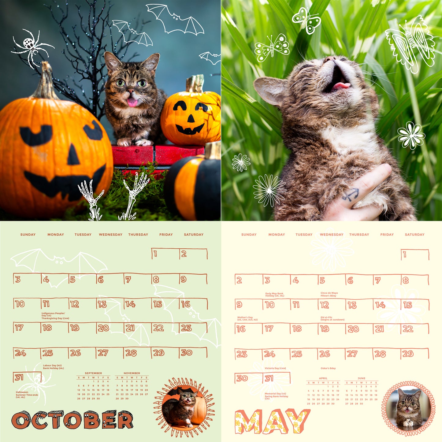 2021 BUB Wall Calendar + Sticker Sheet