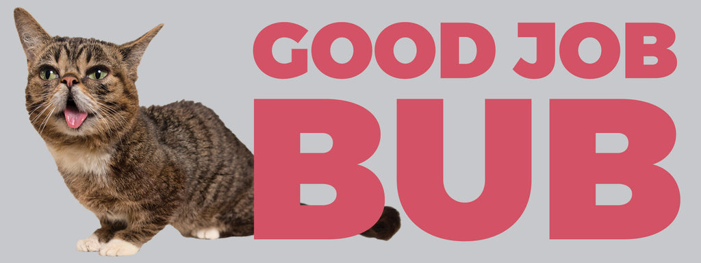 Bub Job Great Job Cat