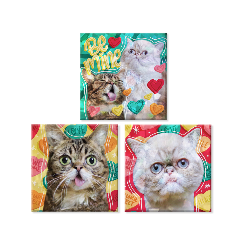 Magnets - Set of 3 - 2023 BUB + Marbles Love - Limited Edition Set of 3