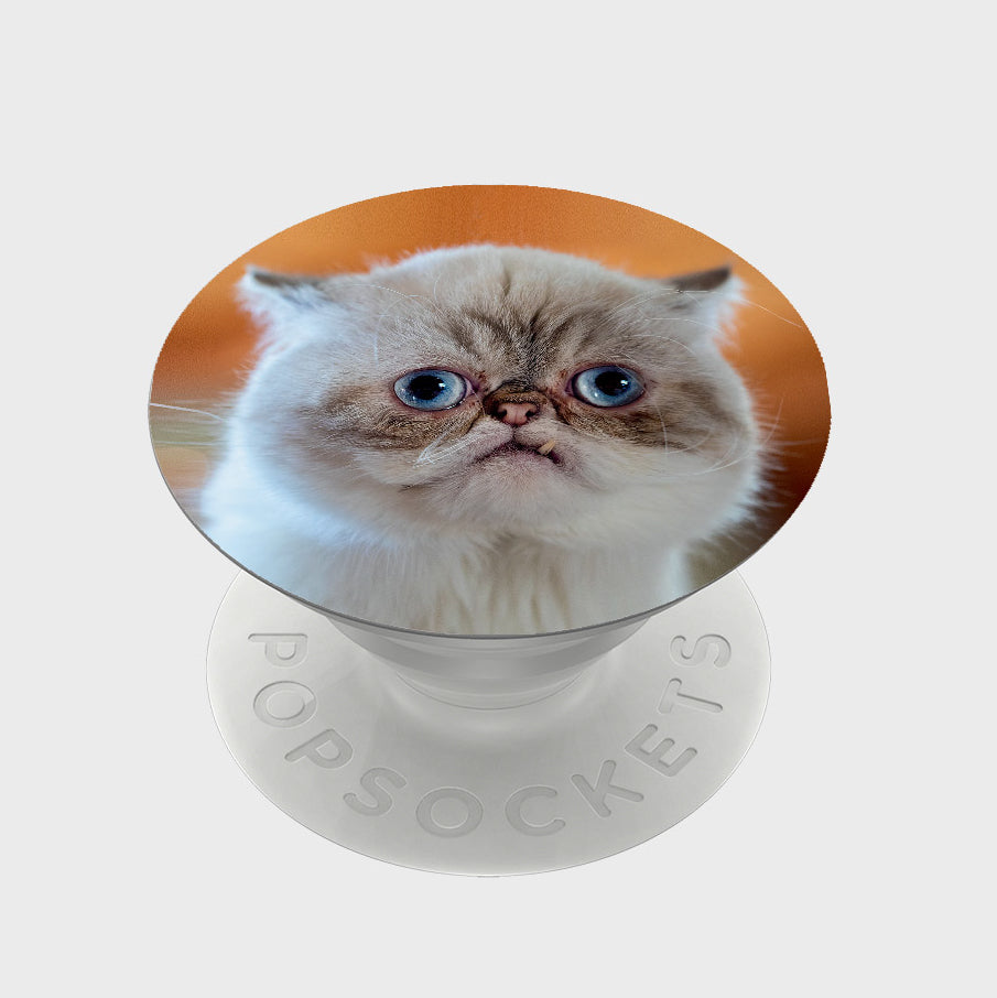 Popsocket Cell Phone Popgrip It's Mister Marbles – Lil BUB