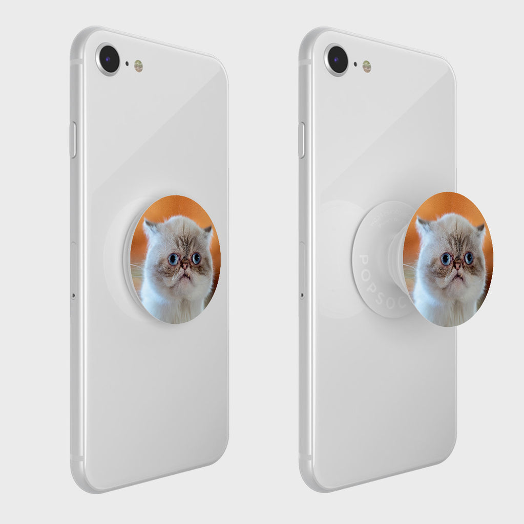 via repulsion Fordeling Popsocket Cell Phone Popgrip - It's Mister Marbles – Lil BUB