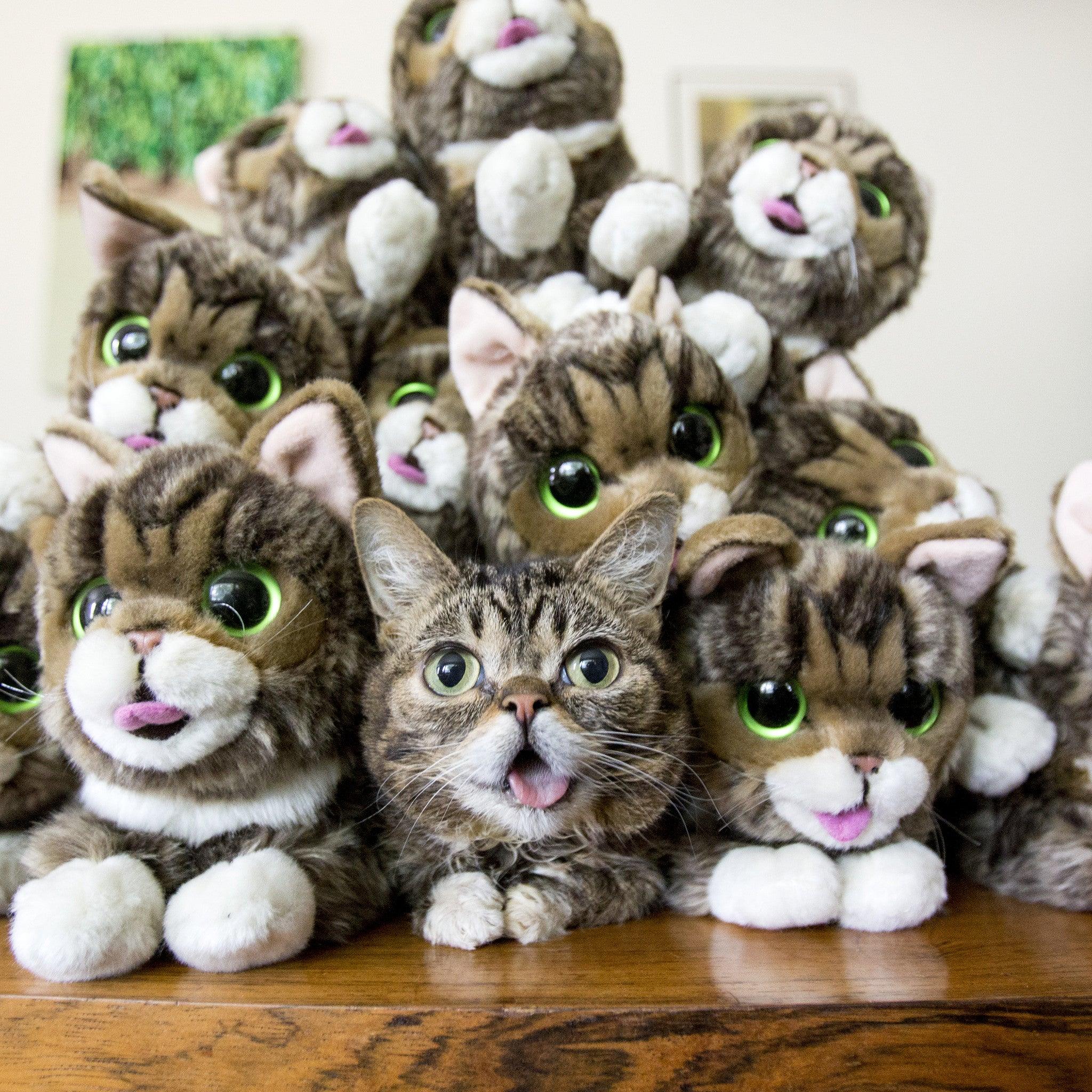 Lil bub stuffed animal on sale