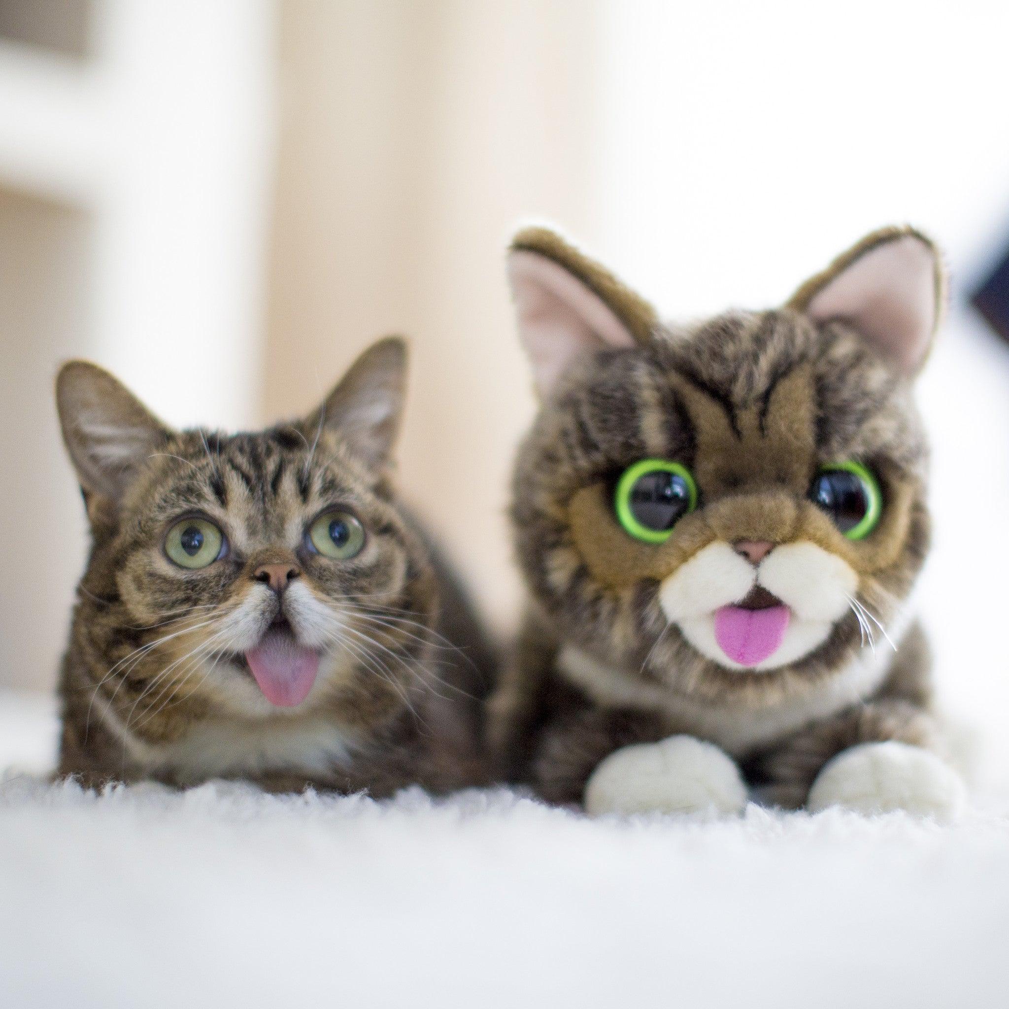 The Original Lil BUB Plush Toy