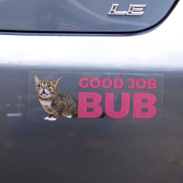 Lil BUB Good Job BUBmper Sticker bumper